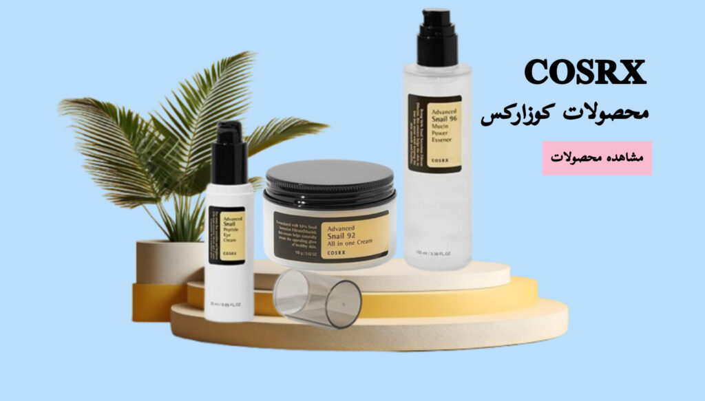 InShot_20241219_023337697